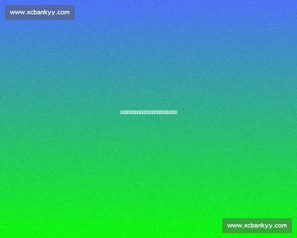 段冉解析火箭争冠前景:新三巨头如何打破西部格局