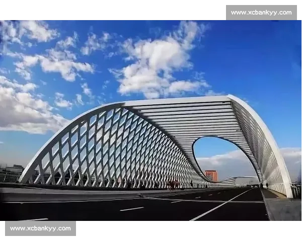 吴柳芳以创新精神引领时代潮流展现新时代女性智慧与力量