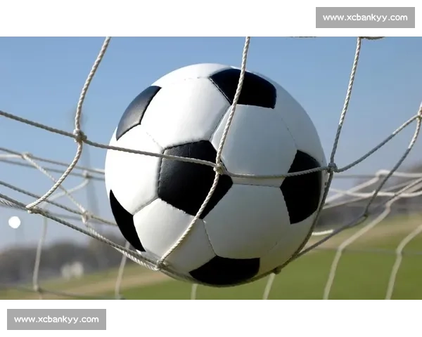 手机上用哪些软件可以买到正版足球及球迷周边产品推荐