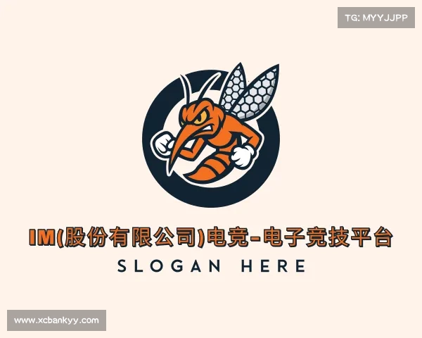 关于IM电竞