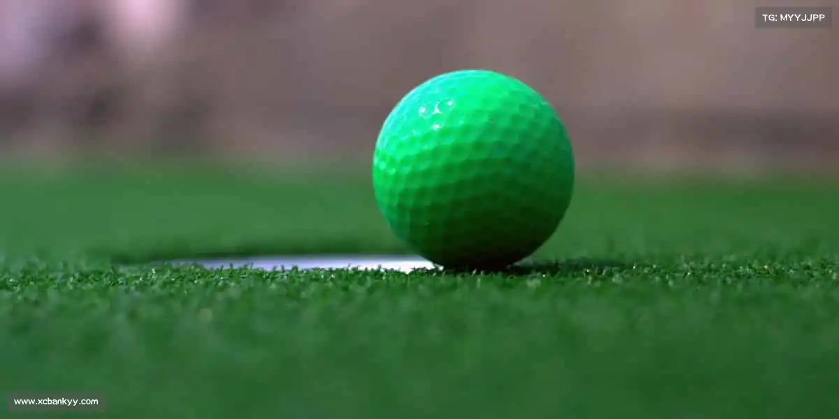 行业领先的理由